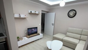 A modern living room with a sofa, a TV, a small coffee table, and a ceiling light fixture.