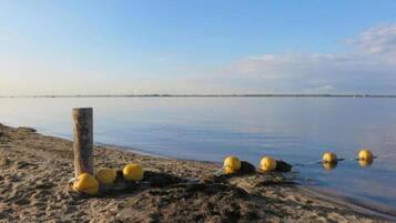 House | View from property