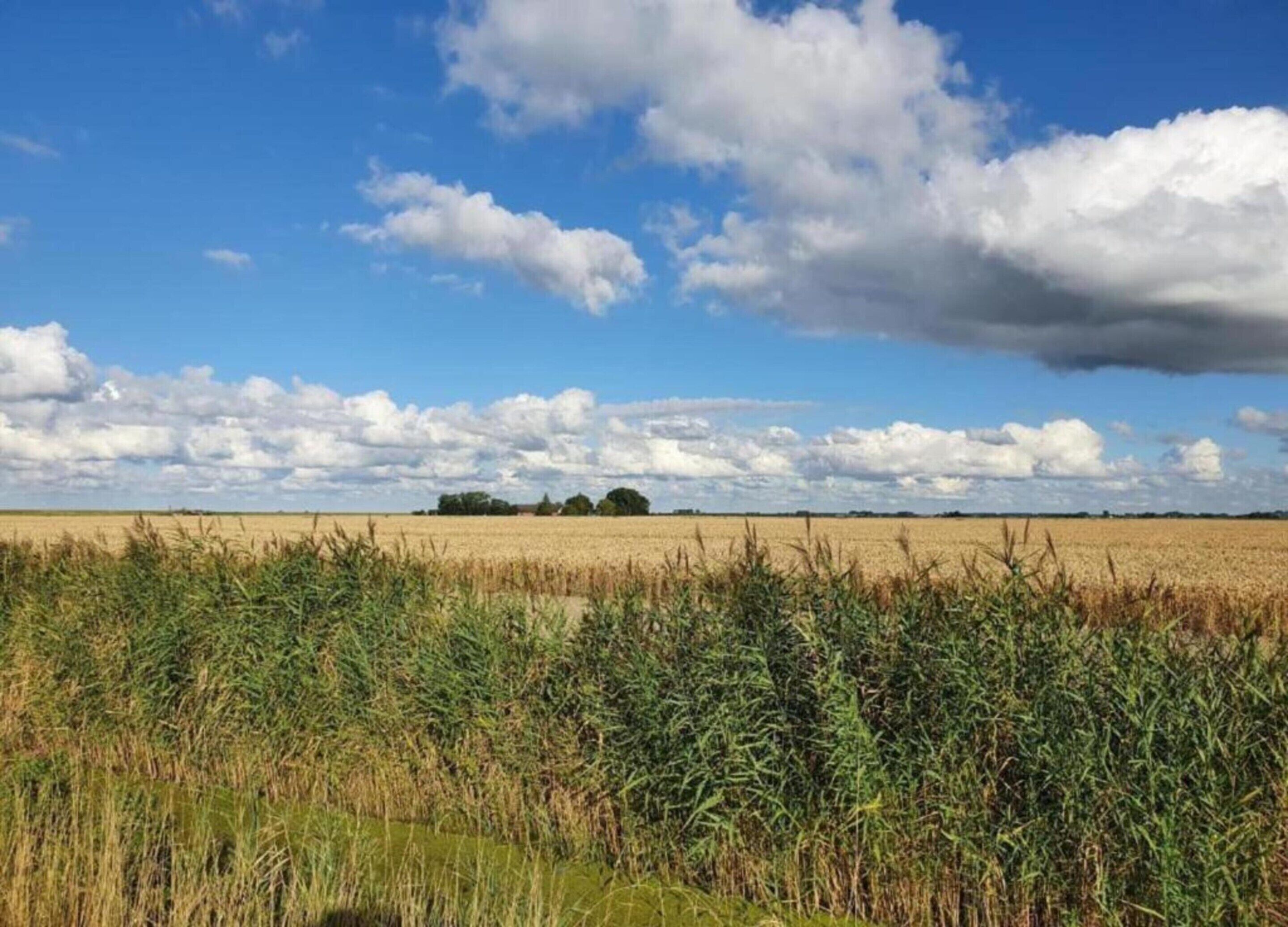 A wide-open field with a clear sky and scattered clouds.