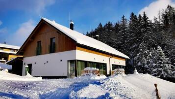 A modern two-story wooden cabin with a sloped roof, surrounded by snow-covered trees.