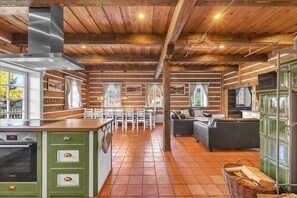 Villa | Living room | Fireplace - Villa Near Krkonose National Park (Horni Marsov)