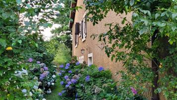 Un jardin agrémenté d’hortensias et de lierre, situé devant un bâtiment dont la façade présente un relief et qui est doté de volets.