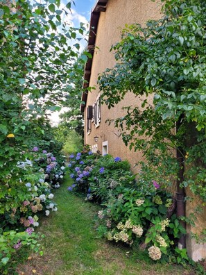 Área da propriedade