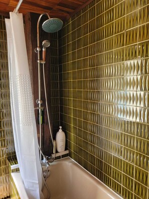 Shower, hair dryer, towels, toilet paper - Gîte " RemiEnzo " House / Farmhouse - Vosges Sud with sleeping accommodation for 8 people (La Vôge-les-Bains hautmougey)