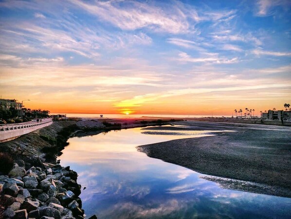 Miscellaneous - Steps to the Beach! 2 Pools & Hot Tubs - A-204 (Oceanside)