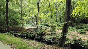 Huis | Uitzicht vanuit accommodatie