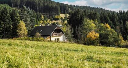 Villa in Moravia With Infrared Sauna