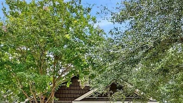A single-story house with a brick facade, a front yard with a tree and shrubs, and a visible garage door. - Modern home in quiet cul-de-sac near University of South Alabama! (Mobile)