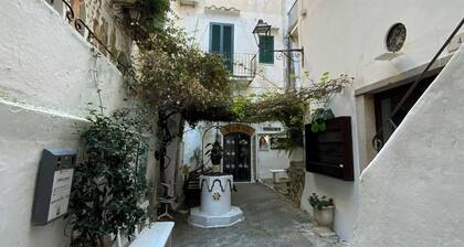 Clizia History & Sea