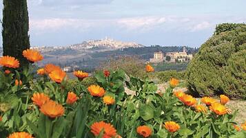 House | View from property