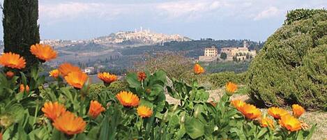 Ferienhaus | Blick von der Unterkunft