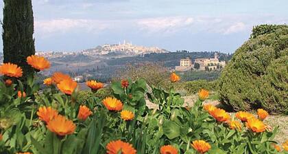 Home in the Historic Sint Nicolaasga