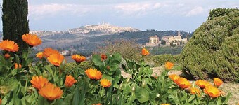 Home in the Historic Sint Nicolaasga