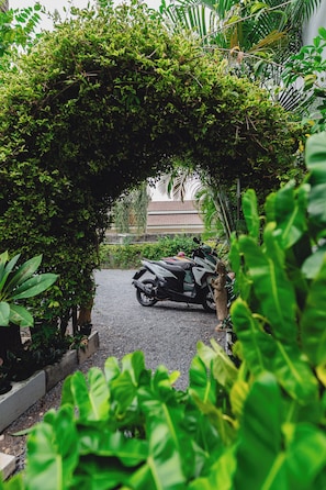 Property grounds - Lemon House apartment (Koh Samui)