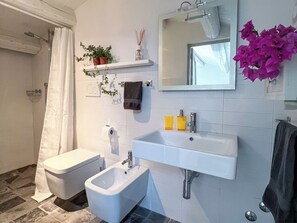 Shower, hair dryer, bidet, towels