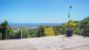 Eine Holzterrasse mit Geländer, einem Blumentopf und Blick auf das Meer und die grüne Landschaft.