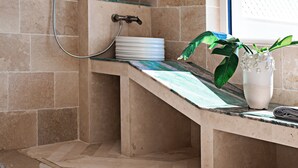 A modern bathroom with a shower, a glass shelf, and a potted plant.