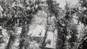 A snow-covered landscape with trees and a building in the background. - Love Kush Cottage  (Taradevi)