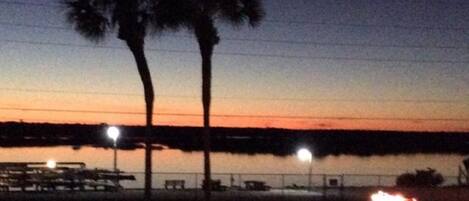 A nighttime view of a waterfront area with a row of palm trees, a dock, and a lit structure on the shore.