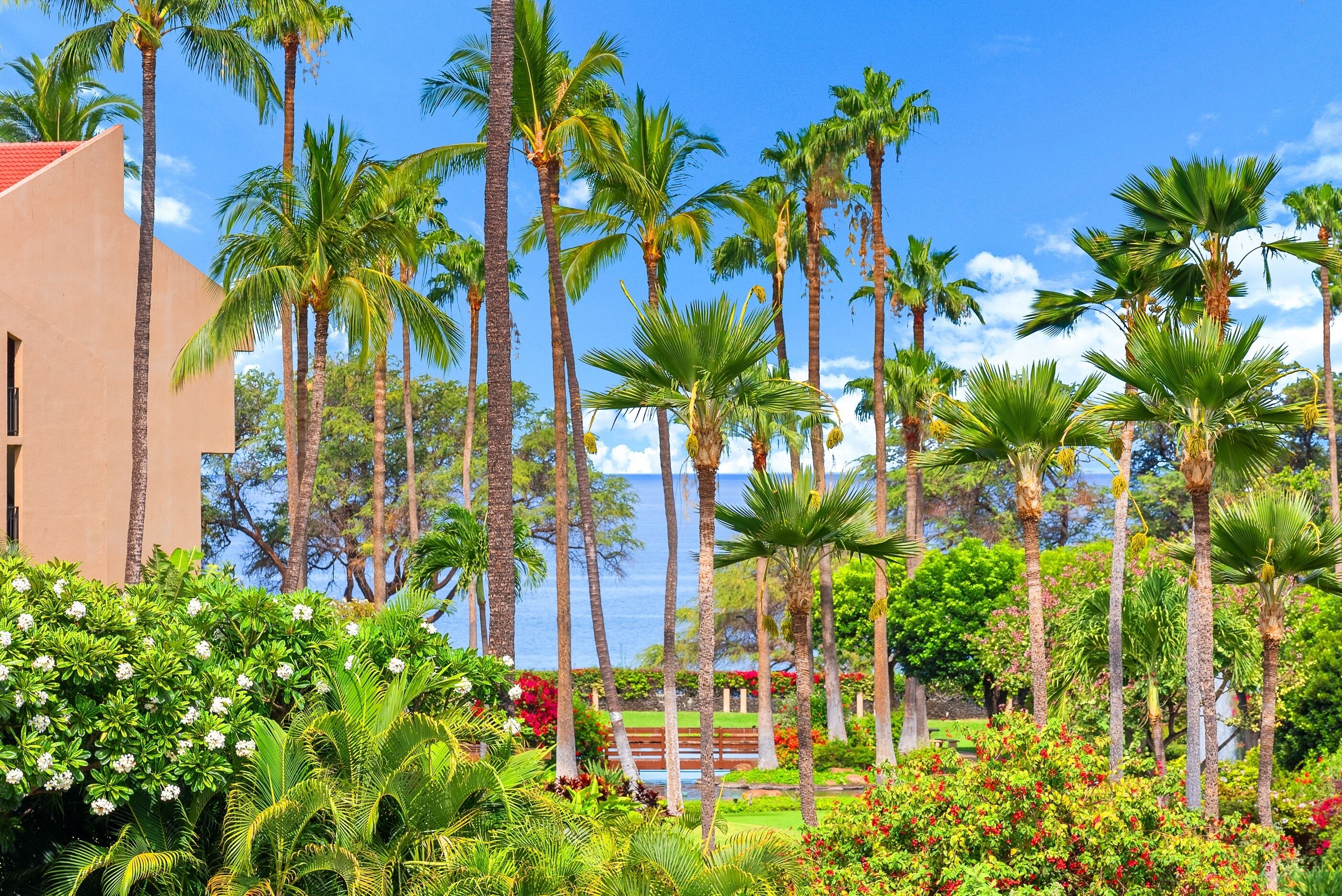 Condo, 1 Bedroom | Property grounds