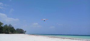 Beach - Charming villa with swimming pool located 10 minutes walk from the beautiful beach   (Diani Beach road)
