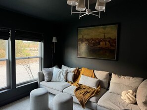 Télévision, cheminée, jeux vidéo, chaîne hi-fi