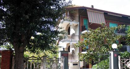 Terracina Soul 2