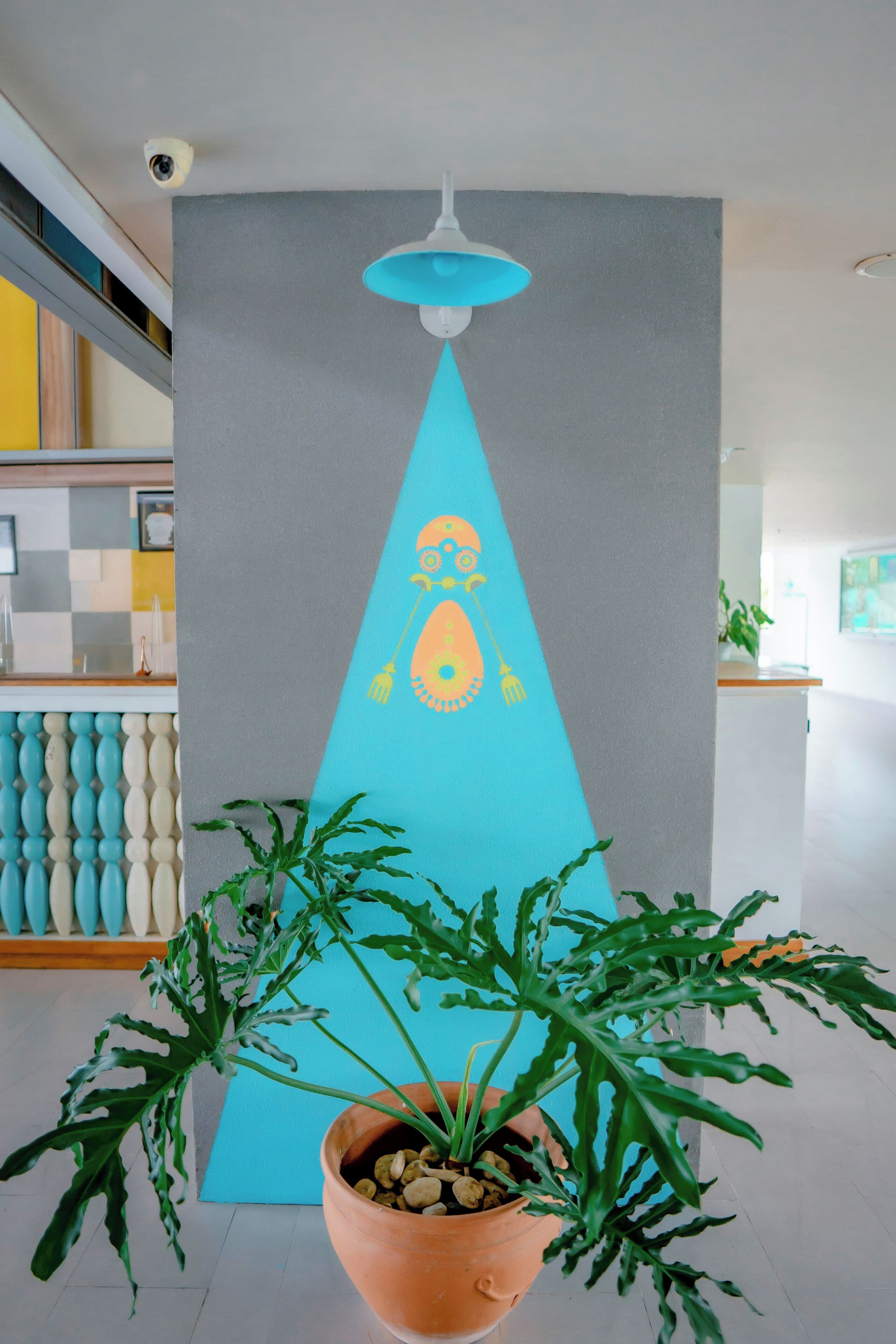 A modern interior with a blue wall, a potted plant, and a ceiling-mounted light fixture.