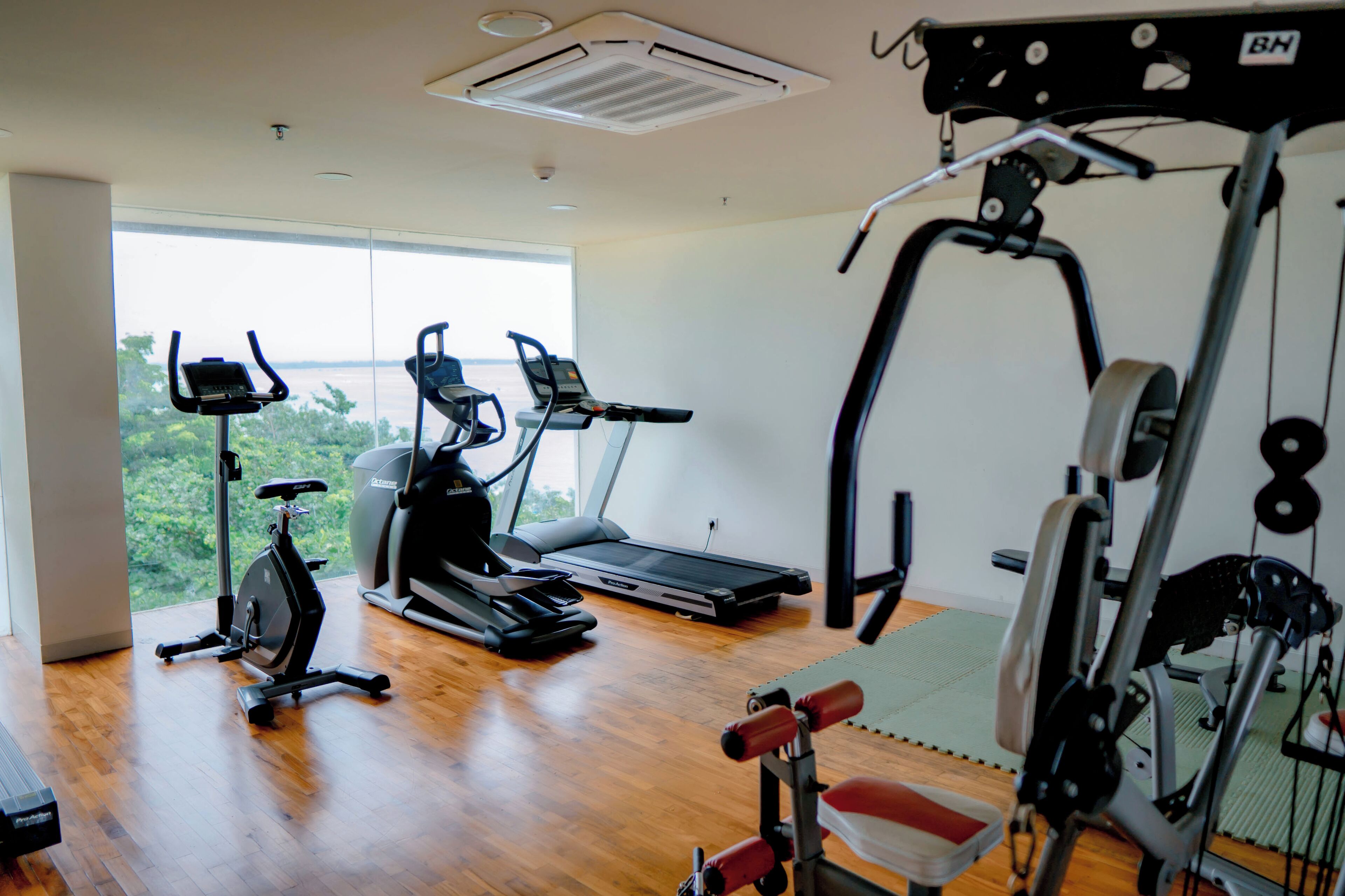 A gym with cardio machines, weightlifting equipment, and a large window offering a view of greenery.