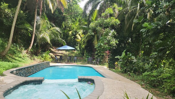Une piscine entourée d’une végétation luxuriante et un espace patio aménagé avec des chaises et une table.