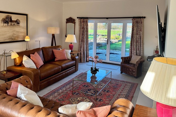 TV connectée, cheminée, livres