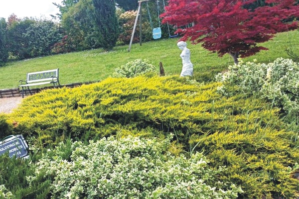 Jardines del alojamiento