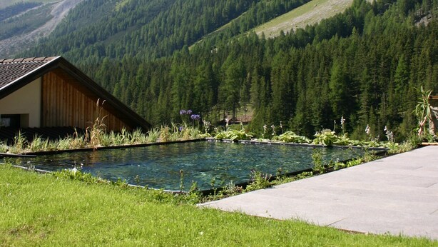 A mountain cabin with a clear view of snow-capped peaks and dense forest. - Rumwaldhof Edelweiss 82-m² apartment with unique view of Ortles (Sulden)