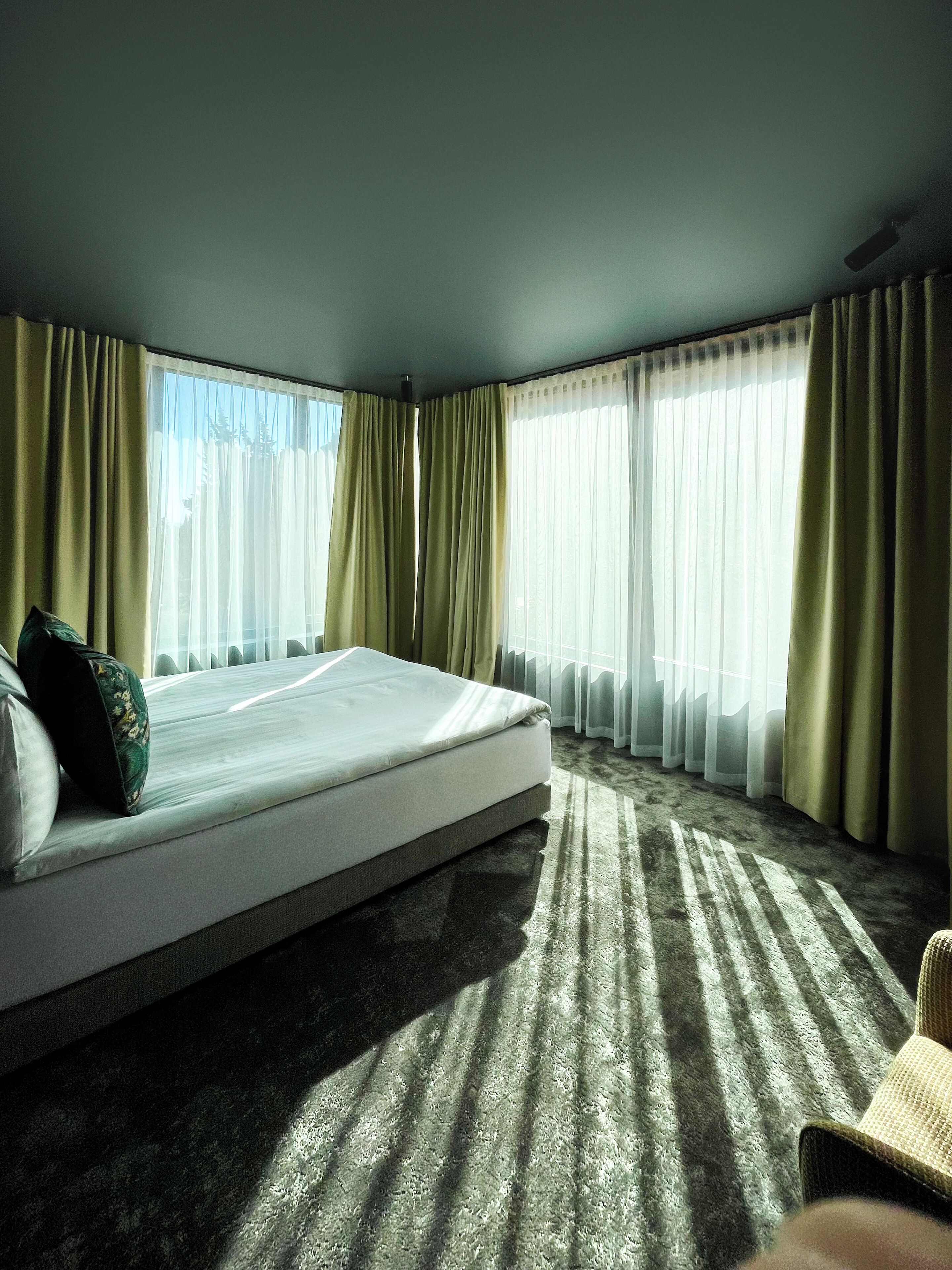 A bedroom with a large bed, two windows with curtains, a ceiling fan, and a carpeted floor.