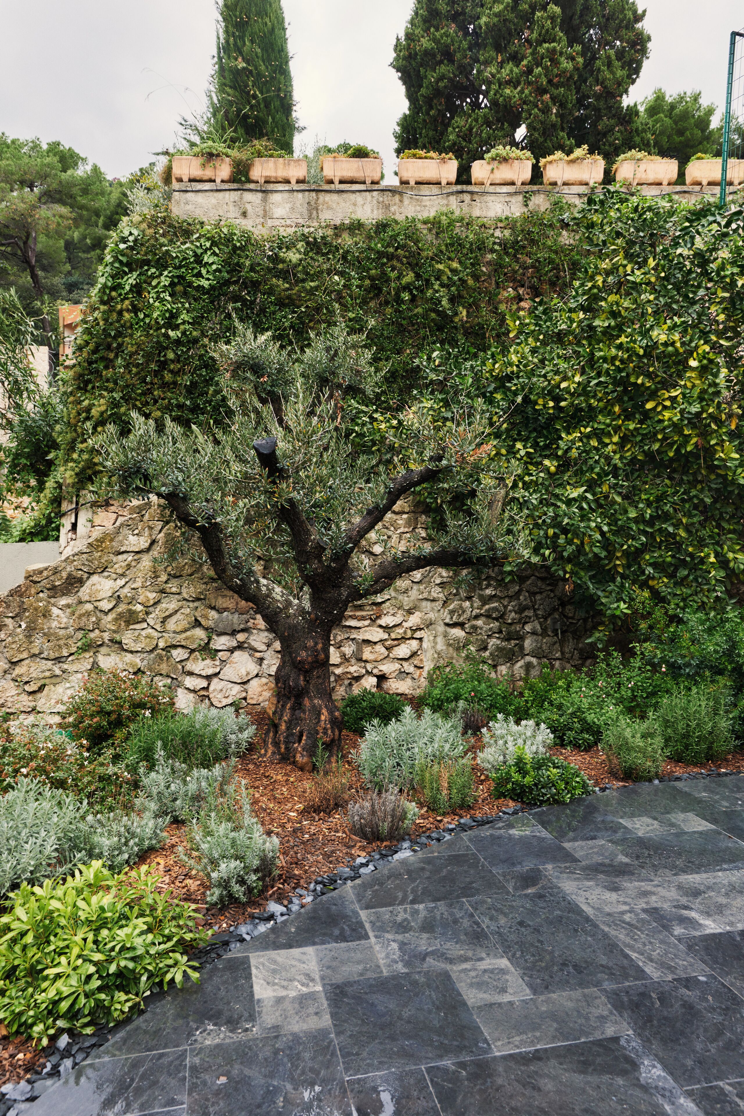 Family Room, Terrace, Courtyard Area | Courtyard