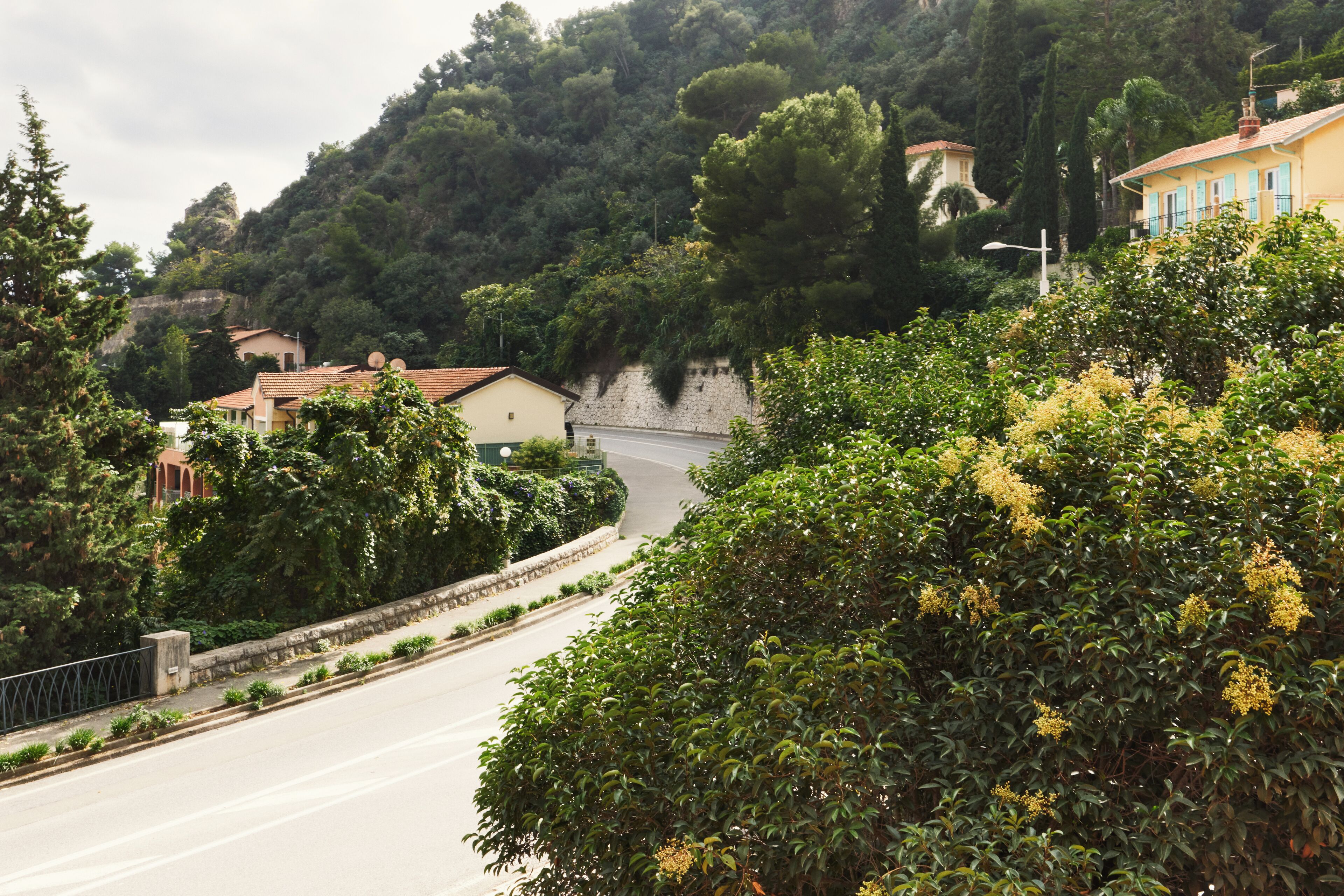 A hillside road with houses, dense greenery, and a stone wall.