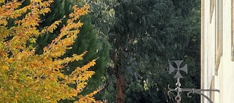 Solar da Fonte Arcada: Luxo e Serenidade no Coração da Natureza Preservada