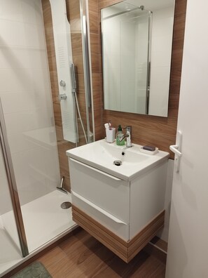 Sèche-cheveux, serviettes fournies, savon, papier toilette