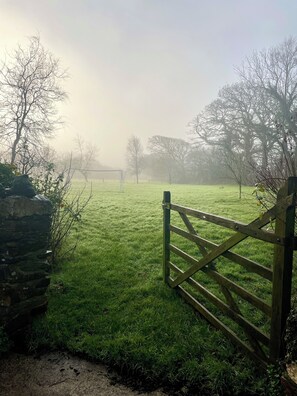 Surrounded by a serene grassy field and a stone wall, this peaceful retreat offers a tranquil escape.