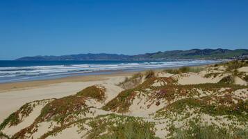 A coastal landscape with dunes, beach, and distant hills.