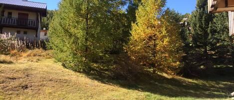 Jardines del alojamiento