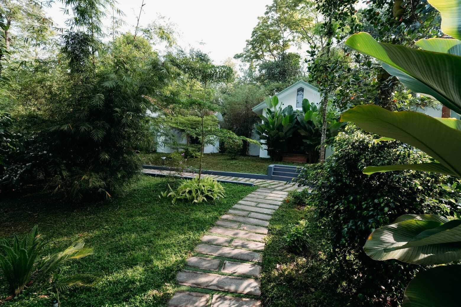 Un sendero en un jardín que lleva a una casa rodeada de abundante vegetación.