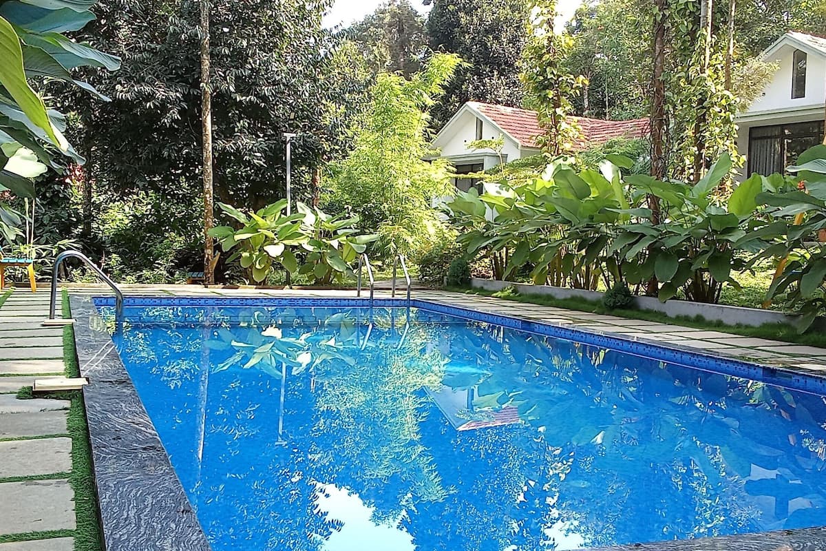 Una piscina rectangular con revestimiento azul, rodeada por un camino de piedra y abundante vegetación.
