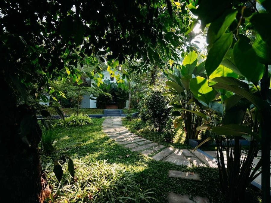 Utsikt mot trädgården