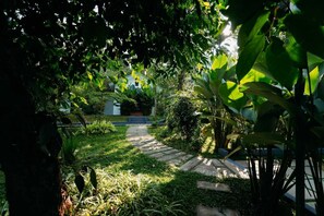 Vistas al jardín