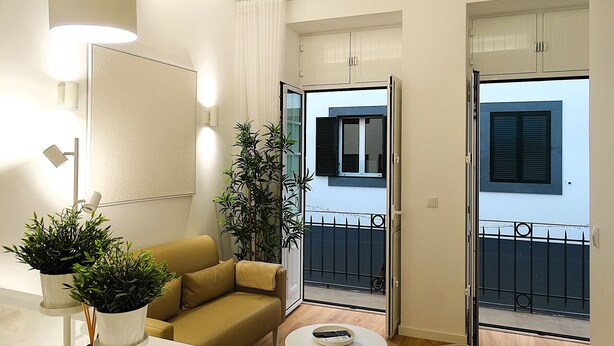 A modern living room with a sofa, a coffee table, and a potted plant. - CA.Tanoeiros 1 (Funchal)