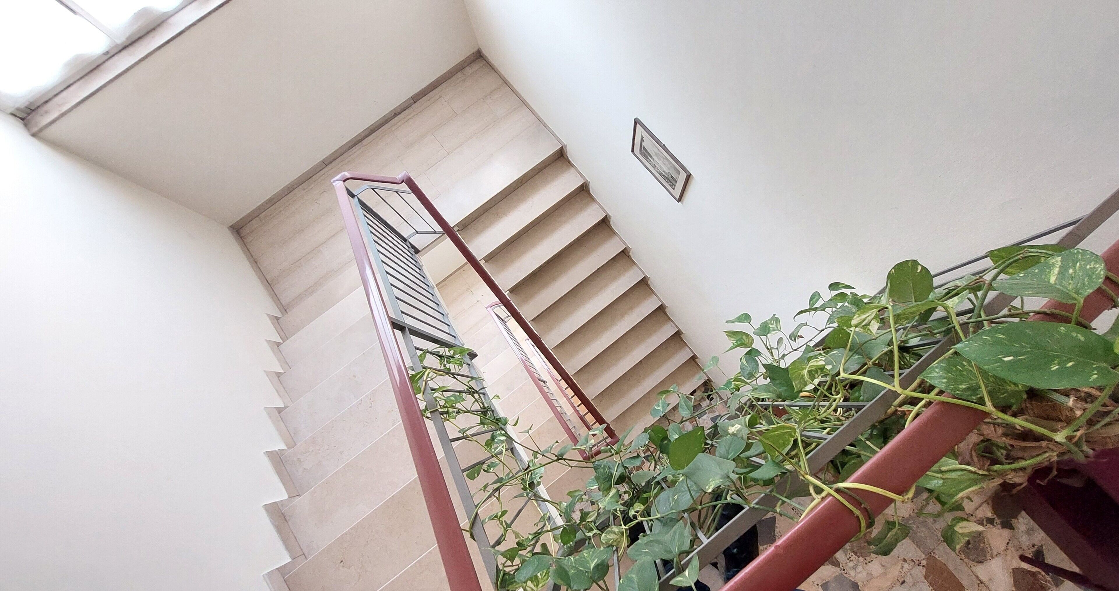 Photo - Hotel Etrusco