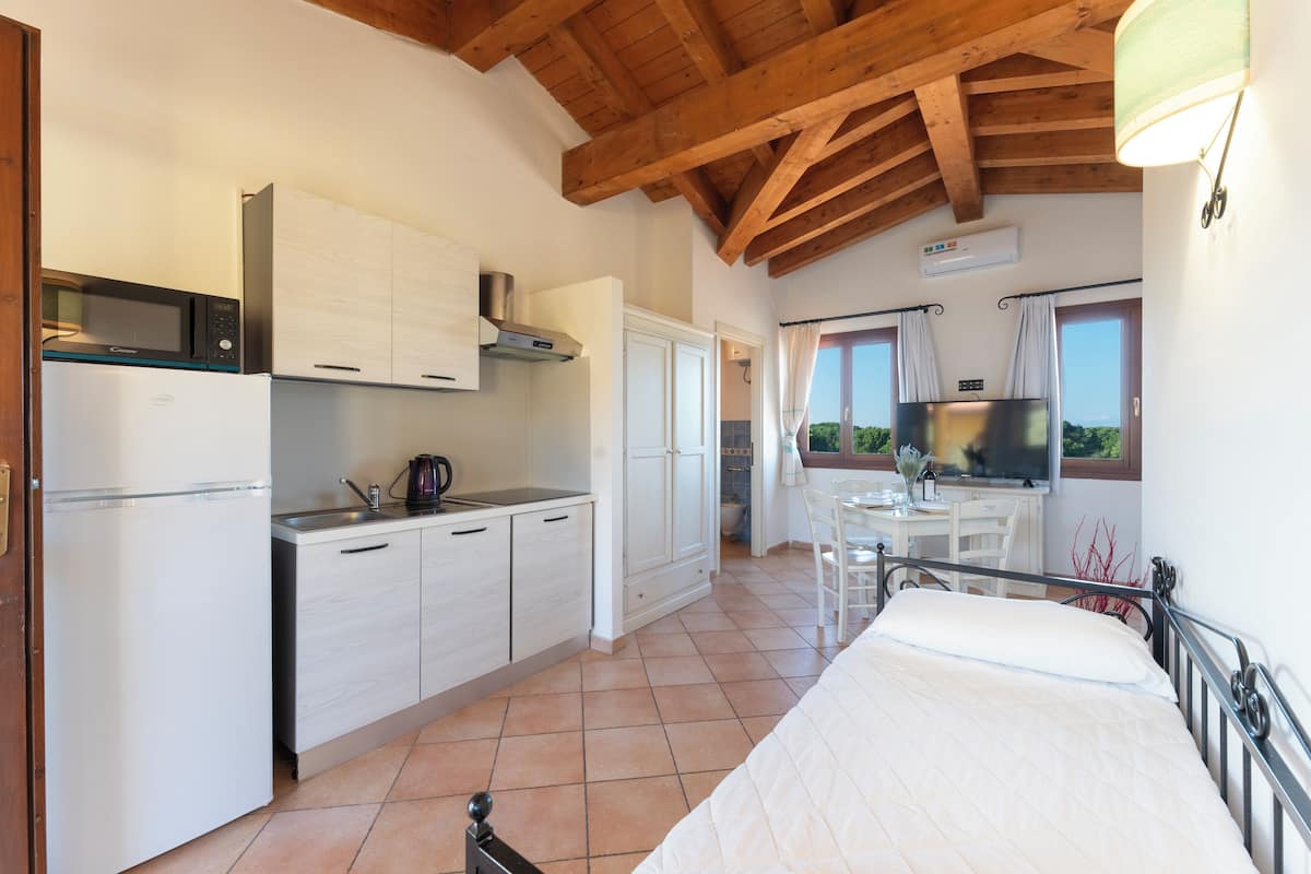 Una habitación compacta con cama, kitchenette, comedor y televisión.