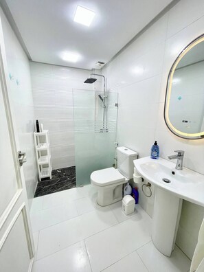 Ducha, secador de pelo, toallas, jabón