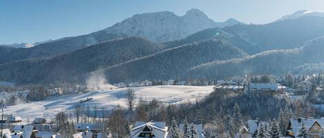 Comfort Apartment, Mountain View | Balcony view